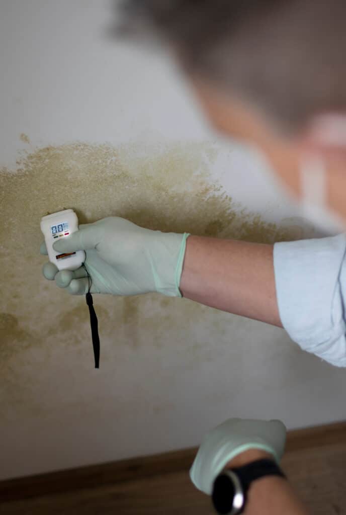 Mesure humidité mur moisissure avec humidimètre Un expert ganté mesure l'humidité sur un mur taché de moisissure jaune-vert avec un humidimètre affichant 0.0 %.